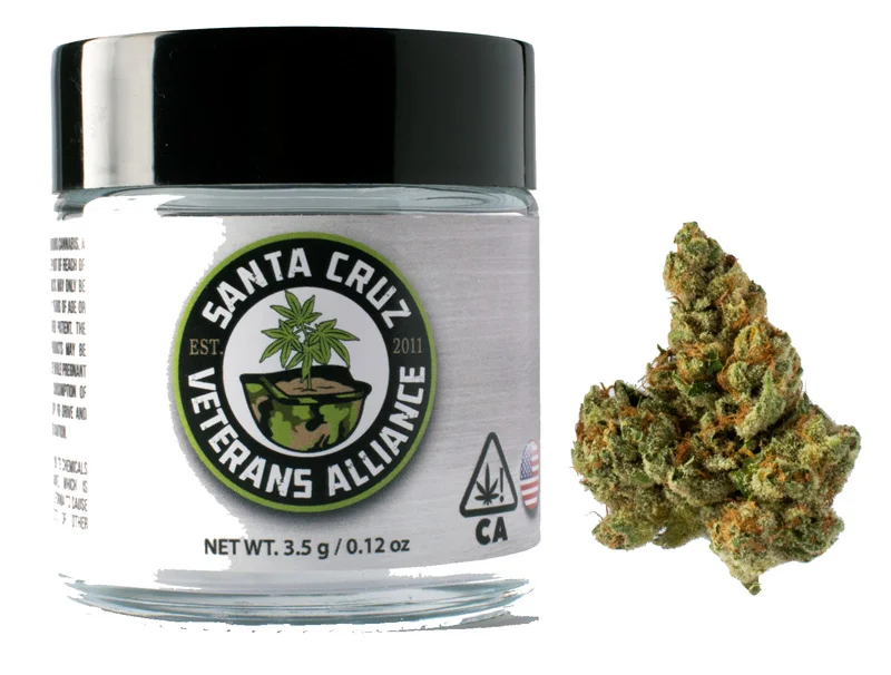 SCVA Golden Lemons