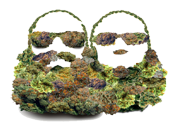 BEARDNUGSLOGO2.png
