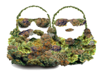 BB---NUGS-LOGO.png