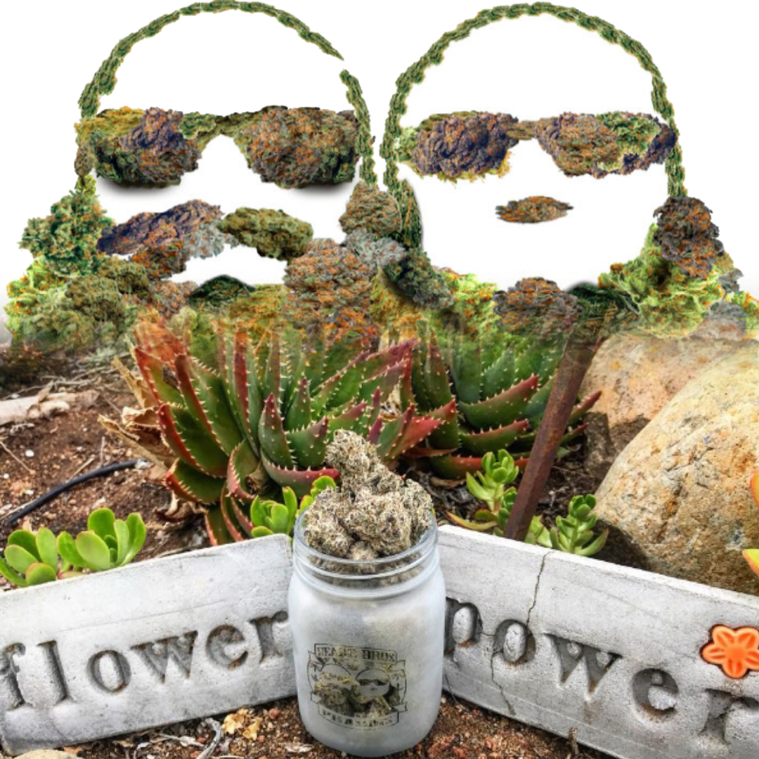 The Real History of 4_20 is Still Being Written.png