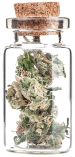 BUDSmedium.png
