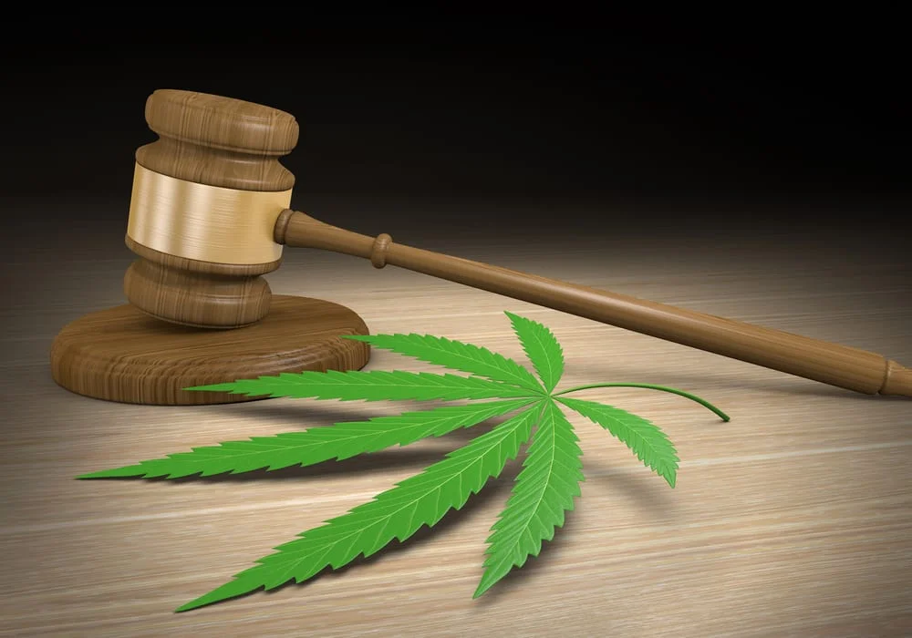 cannabis-gavel-1.jpg
