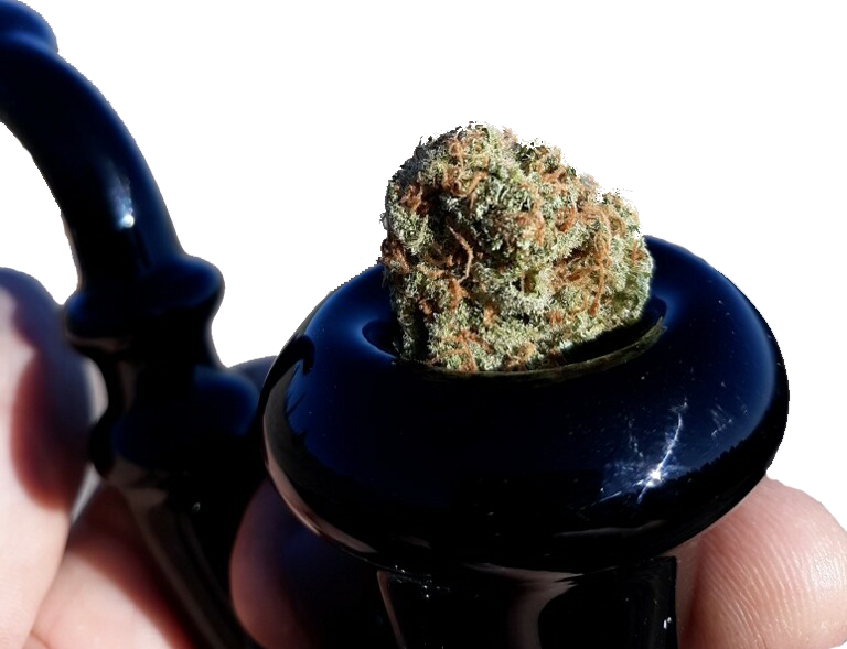 silver-hawk-yerba-buena2.png
