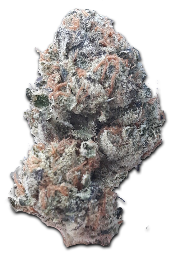 white-tahoe-cookies-emerald-frost.png