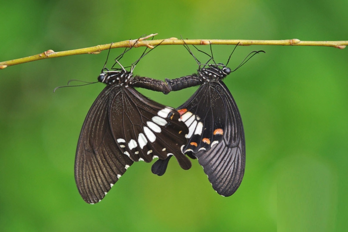 Νέα εγκύκλιος για το "Κομφούζιο". Σύσκεψη το Σάββατο στη Βέροια