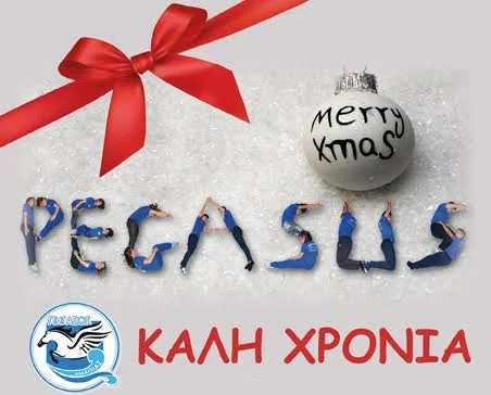 Πήγασος Ημαθίας. Μια κολυμβητική οικογένεια που μεγαλώνει συνεχώς