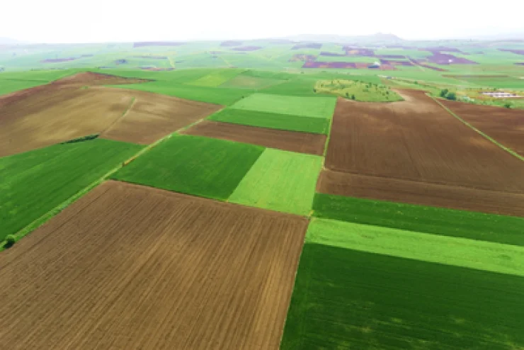 Παράταση ισχύος των αγροτικών ακινήτων στην περιοχή Έλους Κλειδίου