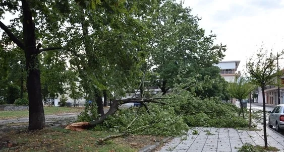 alexandriamou.gr_mpourini1201900055.jpg