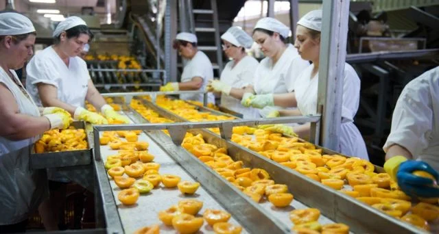 ΚΚΕ: Βιομήχανοι στην Πέλλα παραλαμβάνουν συμπύρηνα για χυμό και τα μεταποιούν κανονικά!