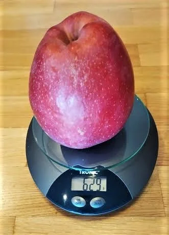 Μήλο γίγας 629 γραμμαρίων... μακράς διαρκείας σε μανάβικο της Βέροιας!