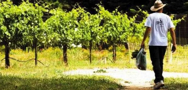 Δεύτερη ευκαιρία στους αγρότες για ρύθμιση οφειλών προς τη ΔΕΗ. Παράταση στο αγροτικό τιμολόγιο