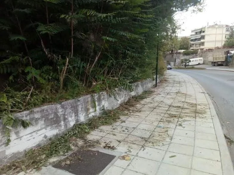 Καθαρίστηκαν τα κλαδιά στον δρόμο για το ΕΠΑΛ Νάουσας και στο Εργατικό