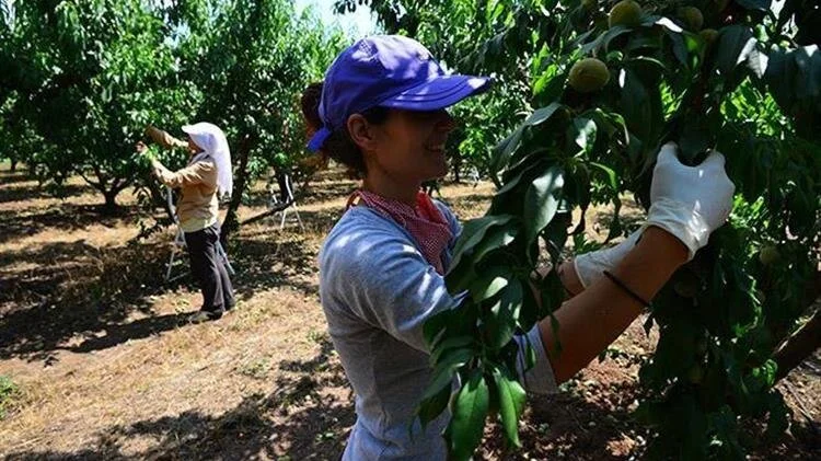Π.Ε. Ημαθίας. Πρόσκληση σε εργοδότες για τους προς μετάκληση αλλοδαπούς