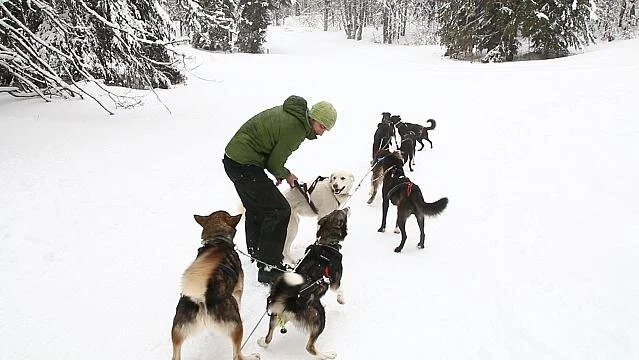 Τα χιονοδρομικά κέντρα της Ευρώπης ετοιμάζονται για την κλιματική αλλαγή. Video