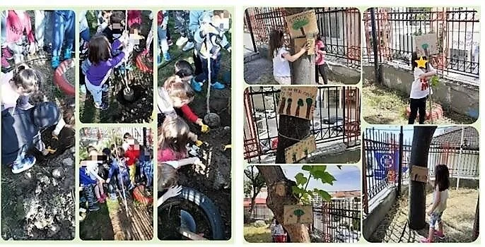 Το 12o Νηπιαγωγείο Βέροιας στην κορυφή της Ευρώπης!