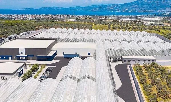 Σε ράγες οι επενδύσεις φαρμακευτικής κάνναβης στην Ελλάδα. Εμείς τις διώξαμε νωρίς...
