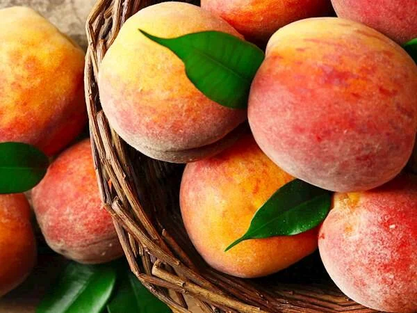 Με βάση τις εξατομικευμένες εκτιμήσεις οι προκαταβολές για τον παγετό. Δείτε τις τιμές