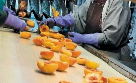 Στα 43 λεπτά παγιώνεται το συμπύρηνο. Πολύ μεγαλύτερο το κόστος λόγω κακής πρώτης ύλης λένε οι βιομήχανοι