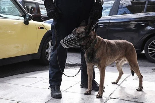 Ο Ακύλας ξετρύπωσε κοκαΐνη στη Βέροια!