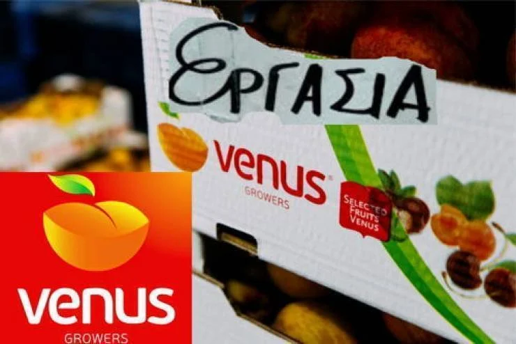Θέσεις εργασίας στη ‘Venus’