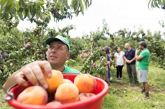 Κοινοπραξία: Μέτρα, για να μην επιδεινωθεί η άσχημη κατάσταση στον αγροτικό κόσμο