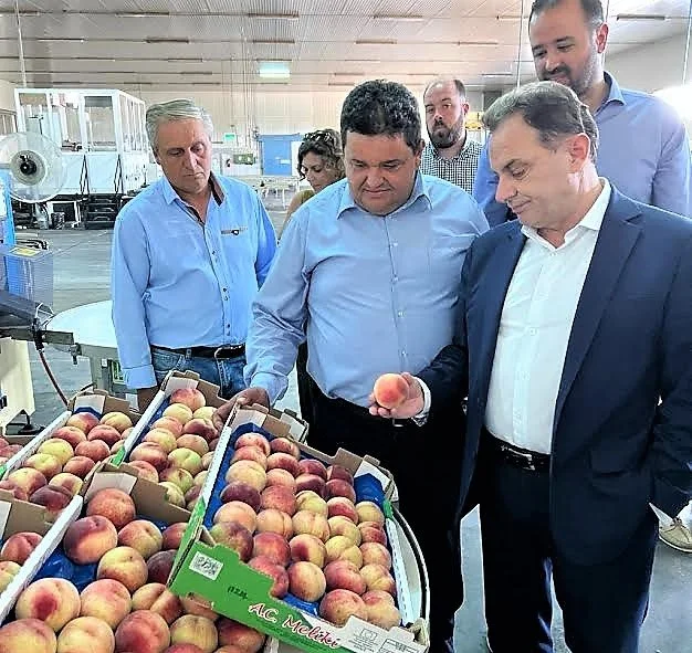 Γεωργαντάς: Αύξηση της παραγωγής με συνεργατικά σχήματα και ενίσχυση της αγροτικής εκπαίδευσης