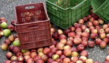 Διαμαρτυρία μηλοπαραγωγών στο Ροδοχώρι