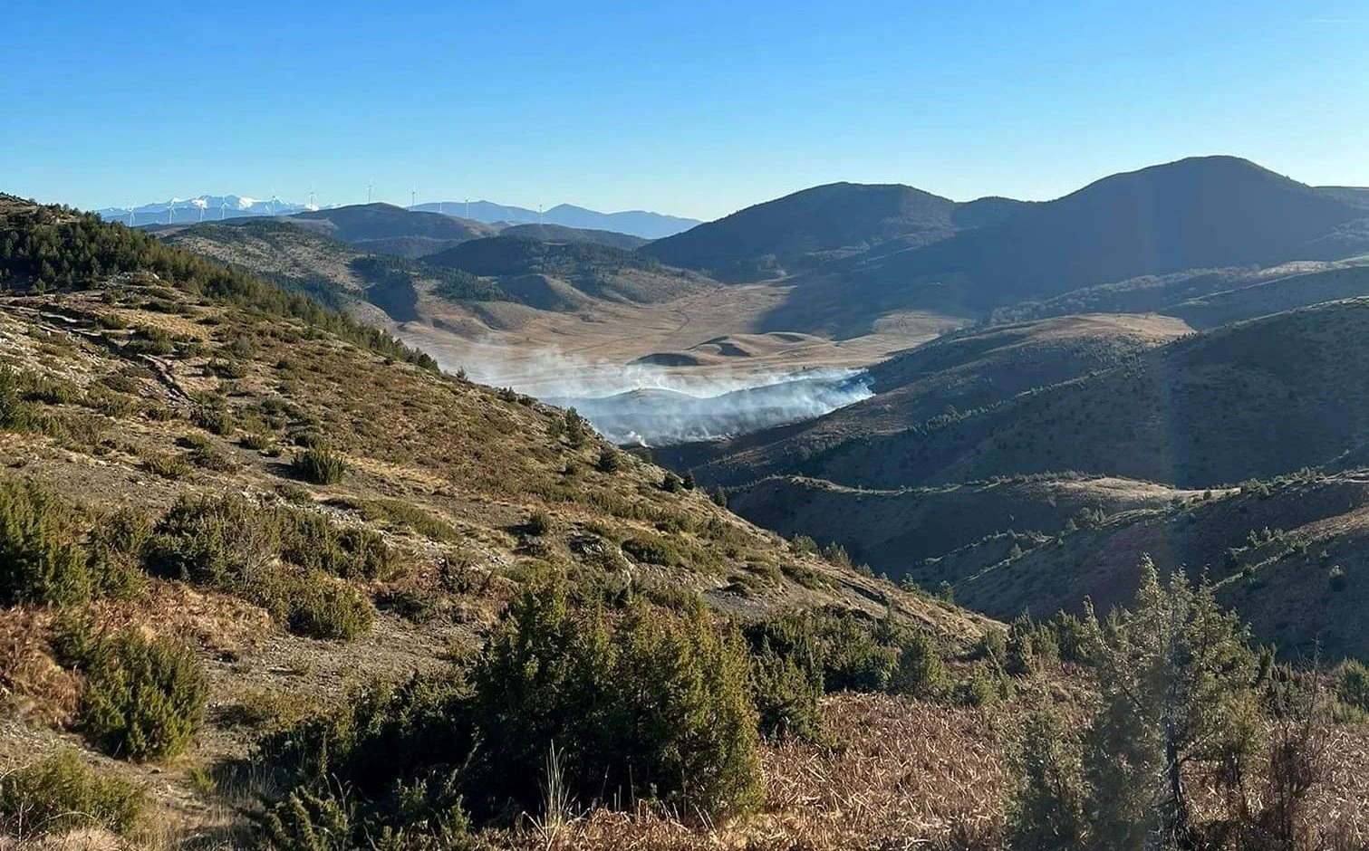 Φωτιά έκαψε 300 στρέμματα χορτολιβαδικής έκτασης στο Ξηρολίβαδο