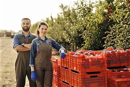 De minimis. 70 ευρώ/στρέμμα για Ουκρανία και 80 για τις βροχοπτώσεις