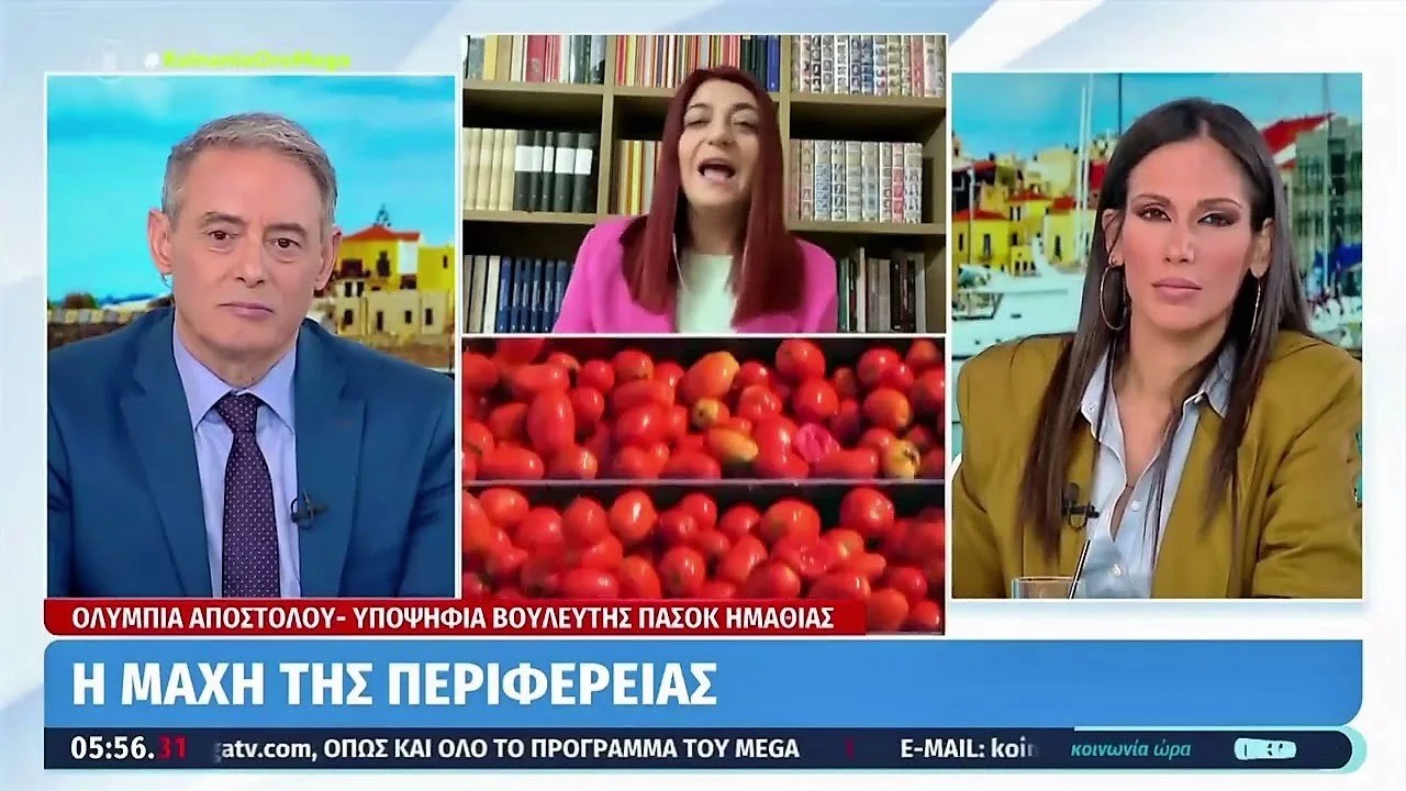 Ολυμπία Αποστόλου στο Mega: Ξεκρέμαστοι οι παραγωγοί στις άκαιρες βροχοπτώσεις. Video