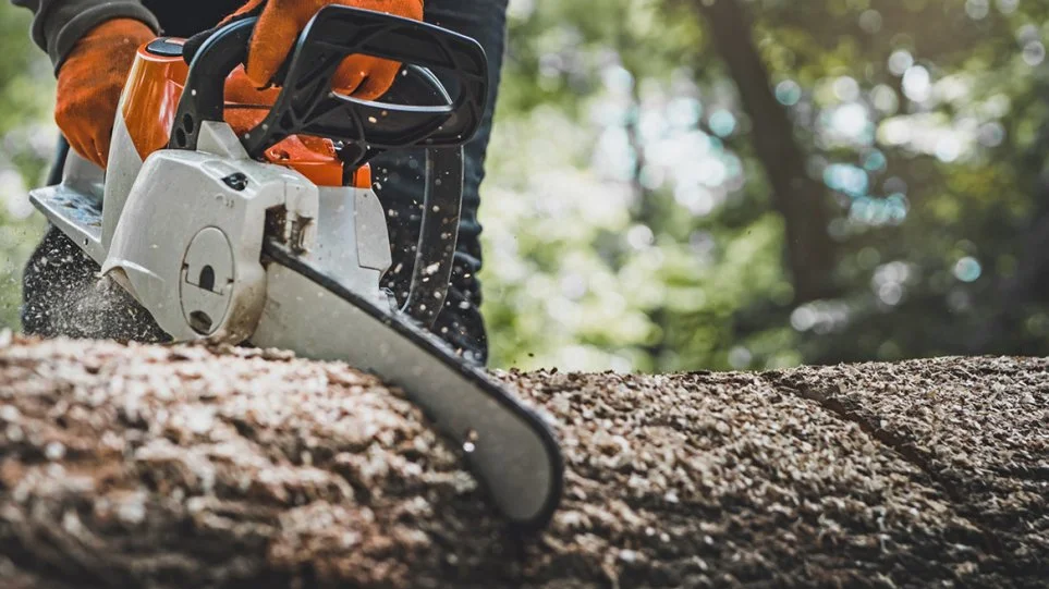 Ανήλικος αφαίρεσε αλυσοπρίονο και καραμπίνα