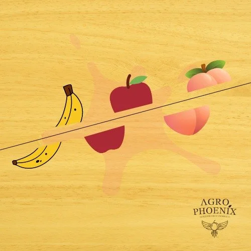 ‘Agrophoenix’. Ενημέρωση για υποψήφιους εργαζόμενους στο ‘Κιόσκι’