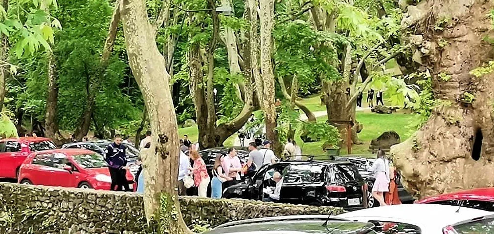 Γρηγόρης Μαρκοβίτης: Αντιθέσεις και όχι αντιπαραθέσεις