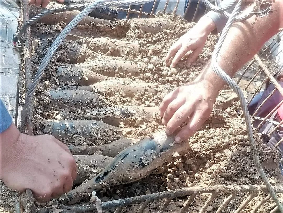 Πρώτη ανέλκυση φιαλών κρασιού στην Αράπιτσα. Το ξινόμαυρο εξακολουθεί να εκπλήσσει! 