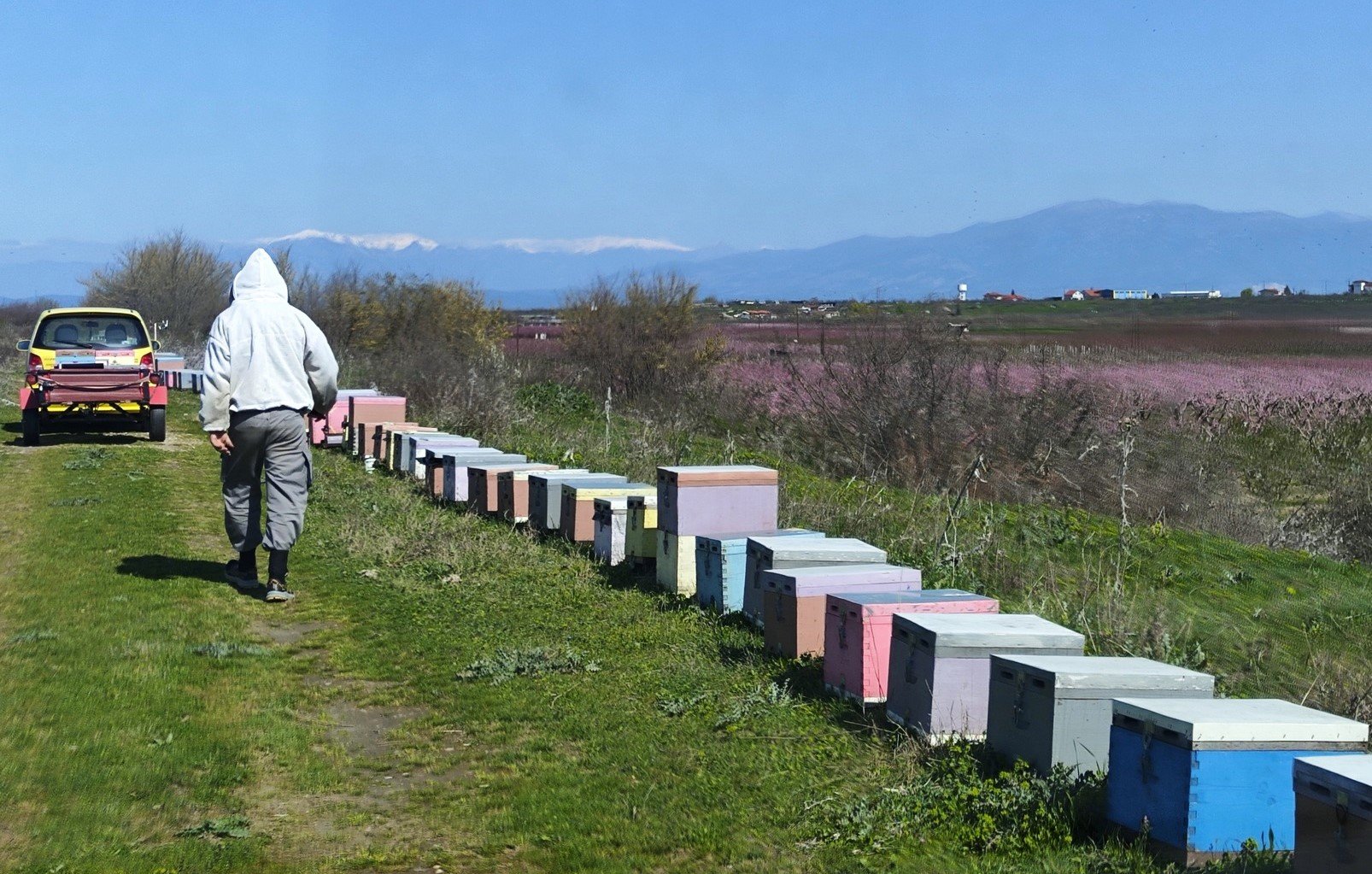Μελισσοκομικό ‘όχι’ στο φωτοβολταϊκό στη ‘Ροδίνα’ της Ειρηνούπολης