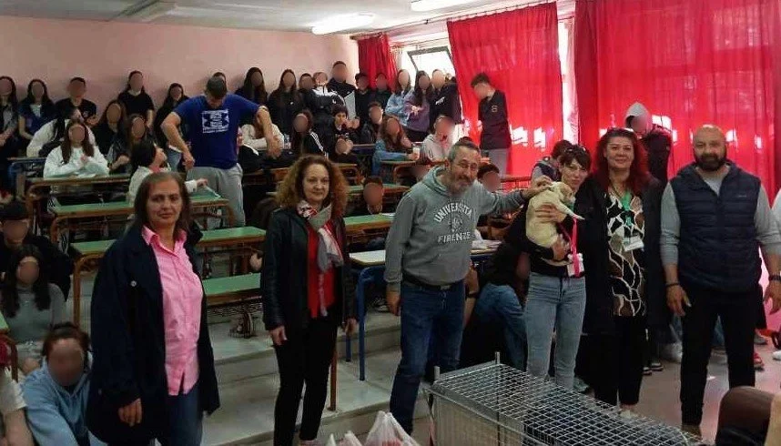 Νάουσα. Δράσεις ευαισθητοποίησης για την παγκόσμια ημέρα αδέσποτων ζώων