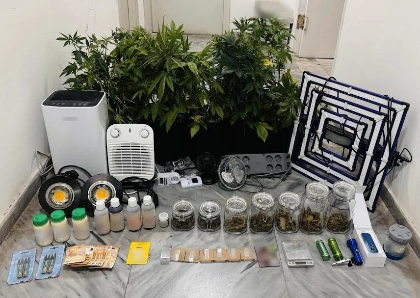 Καλλιεργούσε 9 δενδρύλλια κάνναβης μέσα στο σπίτι του