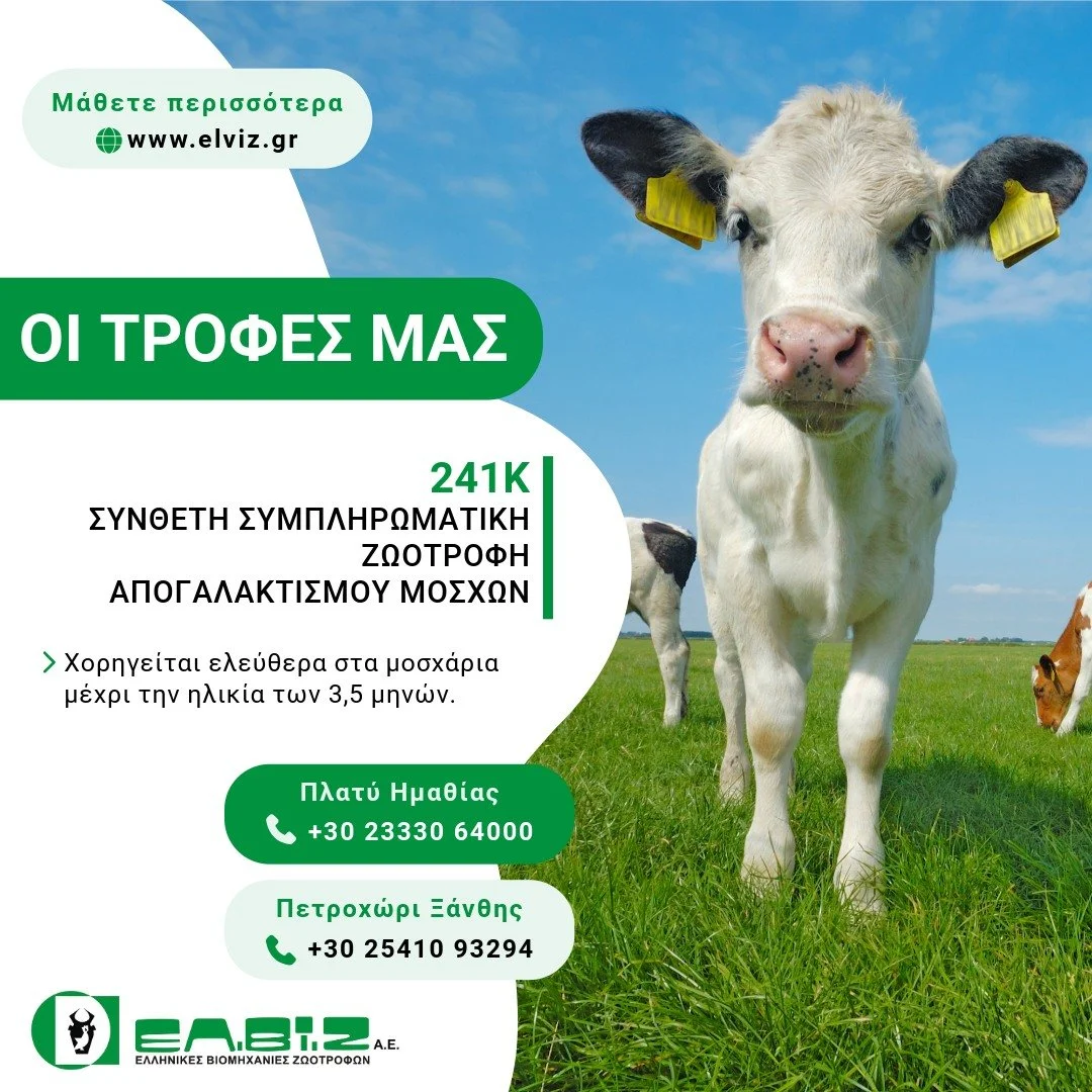 241Κ. Σύνθετη συμπληρωματική ζωοτροφή απογαλακτισμού μόσχων από την ΕΛΒΙΖ