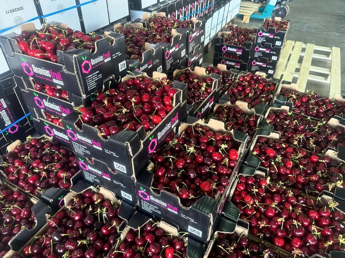 ‘Ανανίας Fruit’. Με κορυφαία ποιότητα η σεζόν σε κεράσια και βερίκοκα