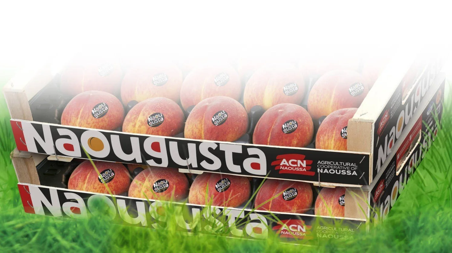 Ευκαιρίες εργασίας στον Αγροτικό Συνεταιρισμό Νάουσας