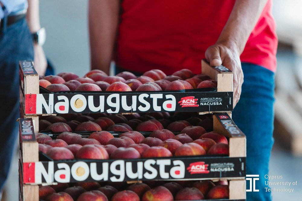 Ευκαιρίες εργασίας στον Αγροτικό Συνεταιρισμό Νάουσας