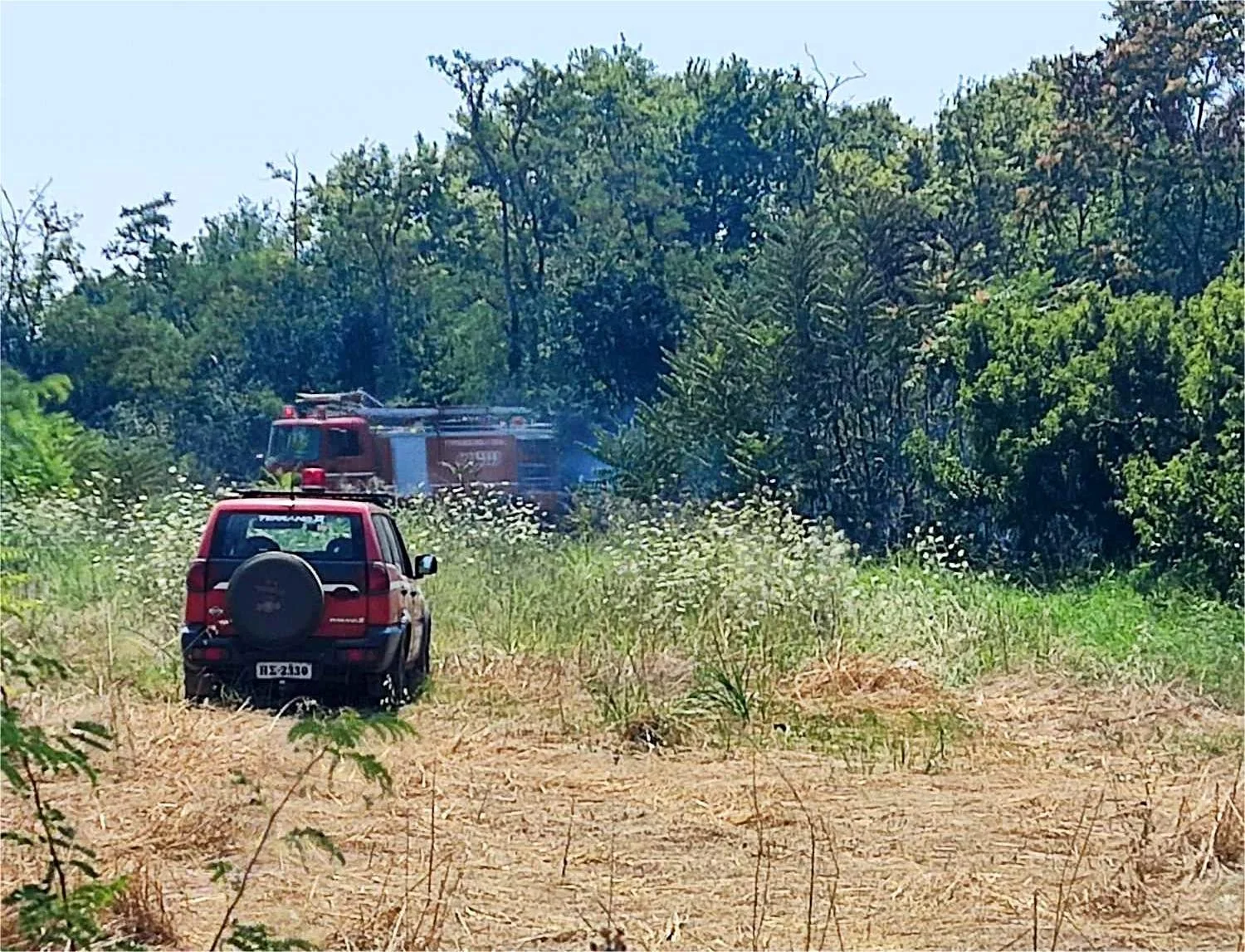 Νάουσα. Φωτιά σε αγροτική περιοχή των Μονοσπίτων