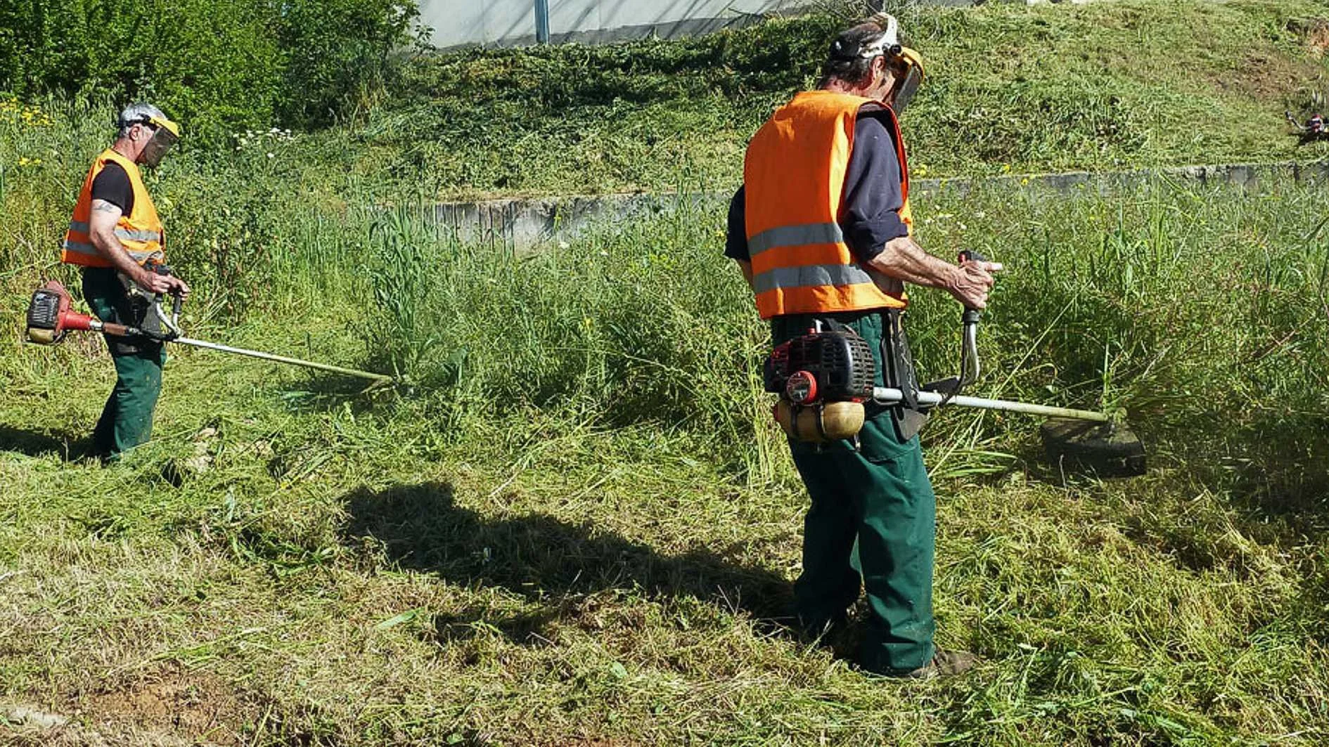 Νάουσα. Ξεκινάνε οι αυτοψίες σε οικόπεδα και ακάλυπτους χώρους