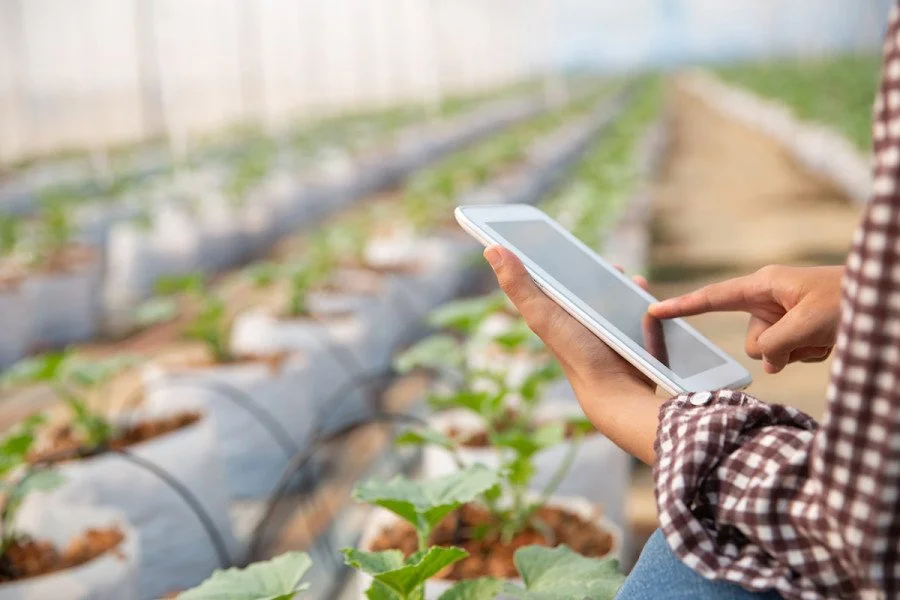 Μέσω RF οι εισφορές ΕΛΓΑ για τις δηλώσεις καλλιέργειας