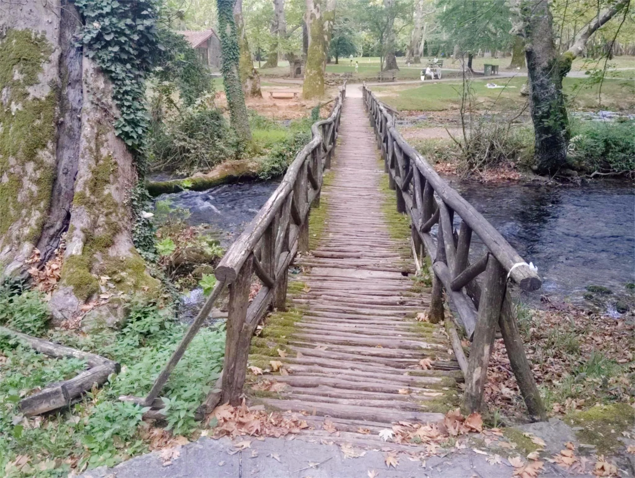 Ομορφιά… με πρόκες ομού στο άλσος!