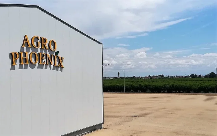 Θέσεις εποχικής εργασίας στην ‘AgroPhoenix’