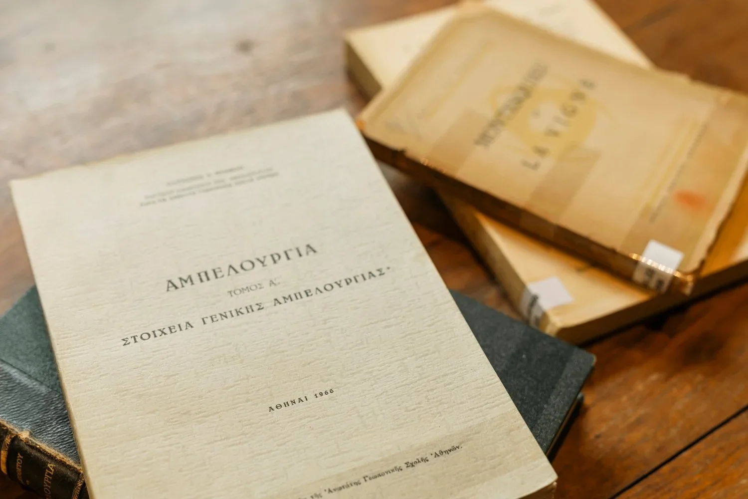 ΒΙΒΟΝ. Μια νέα εποχή για το ελληνικό κρασί ξεκινά