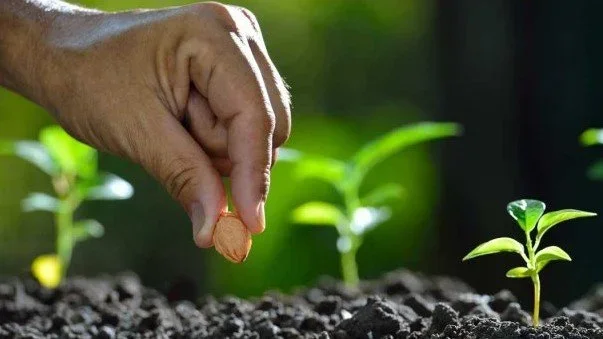 Ημερίδα για το πιστοποιημένο πολλαπλασιαστικό υλικό από τον ΣΕΠΥ