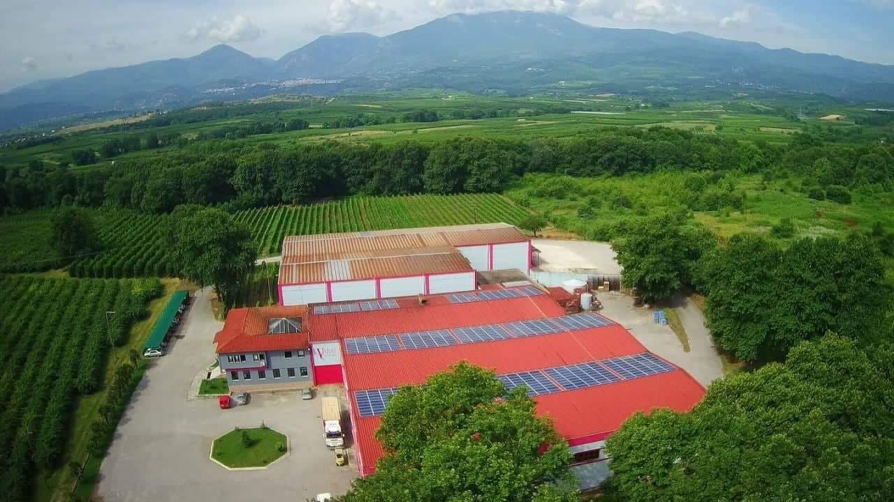 ΑΑΟΣ Vaeni. Σταθερά ανοδικές οι τιμές για τον τρύγο του 2025