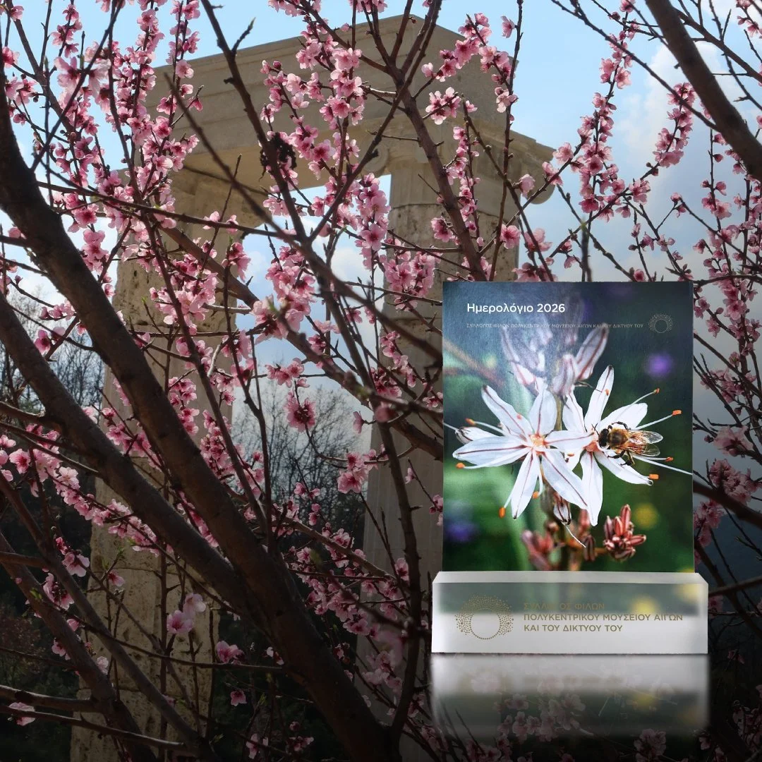 Ανάκτορο αρχαίων Αιγών. Όταν η μνήμη νικά τη λήθη